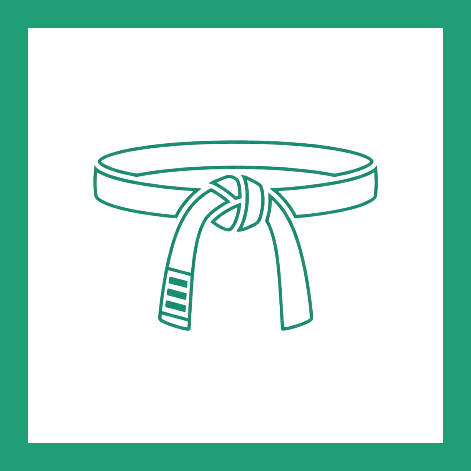 BJJ Partner